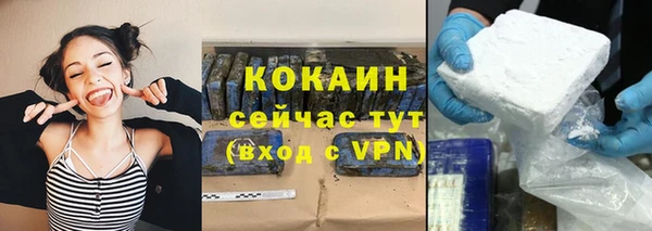 крисы Каменногорск