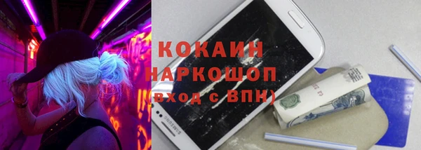 крисы Каменногорск