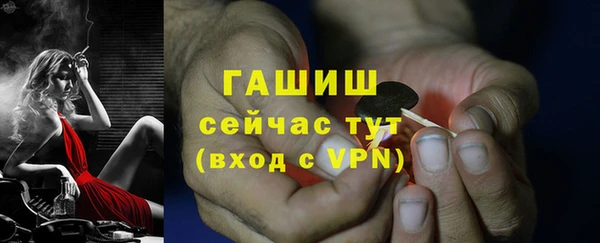 крисы Каменногорск