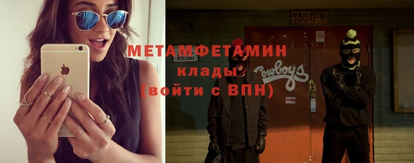 крисы Каменногорск