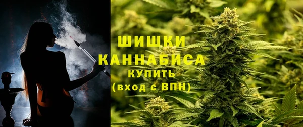 тгк Каменск-Шахтинский