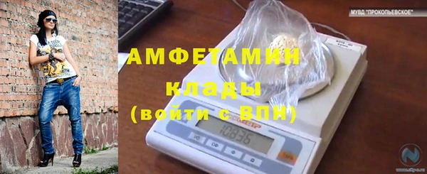 крисы Каменногорск