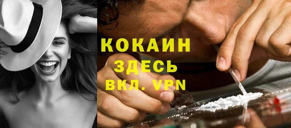 крисы Каменногорск